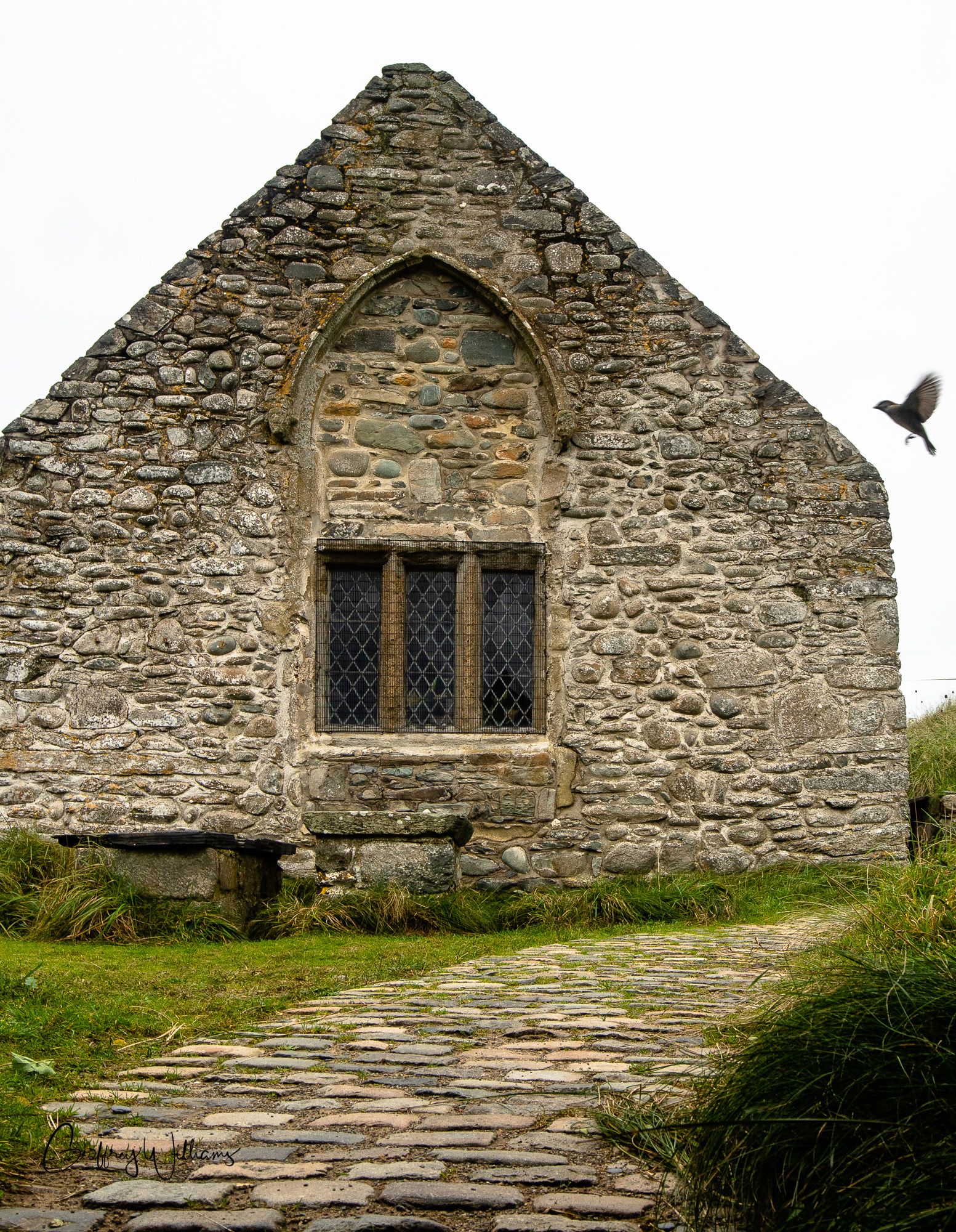 20181014untitled114533